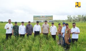 da167b83-e70b-4795-aefd-aed012806fed