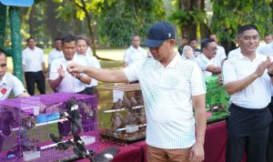 22ecc8fb-e6df-479f-95bf-ad27713ab4a6