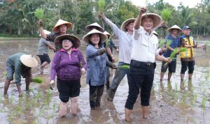 74b110c2-9de7-484e-9381-ab7f14cbd1b1