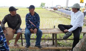 c5125933-5233-4050-9d60-618479a99302