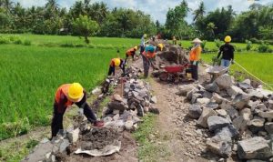 0f524b58-3ff8-4a2f-9694-6250a7c35190