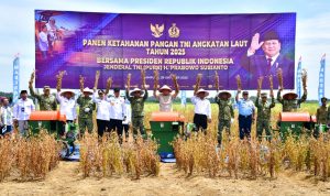 e778c72f-b075-41a5-84b1-d4a517be31eb