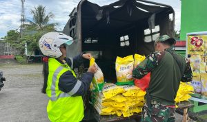 230fb878-320e-49af-9bed-35615be98952