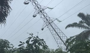 26b595d7-be7f-4af9-93fd-59c26aa8f2d2