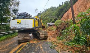 9946e53c-f887-40b1-b8b2-f08415c341a3