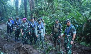 99aecda0-bcef-4192-810f-51c25cc07224