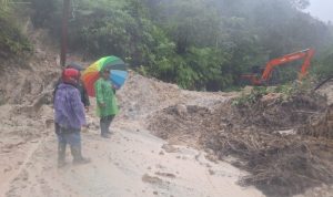 c7e23b80-b521-441d-952d-11066d1a64e5