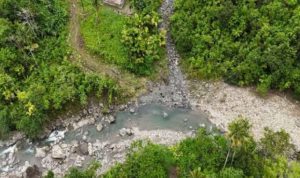 cbbda717-e619-4c94-99fd-ddc47f4d8970