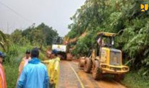 4c3a8fff-4dd4-424f-8ed9-207903d3a5f6